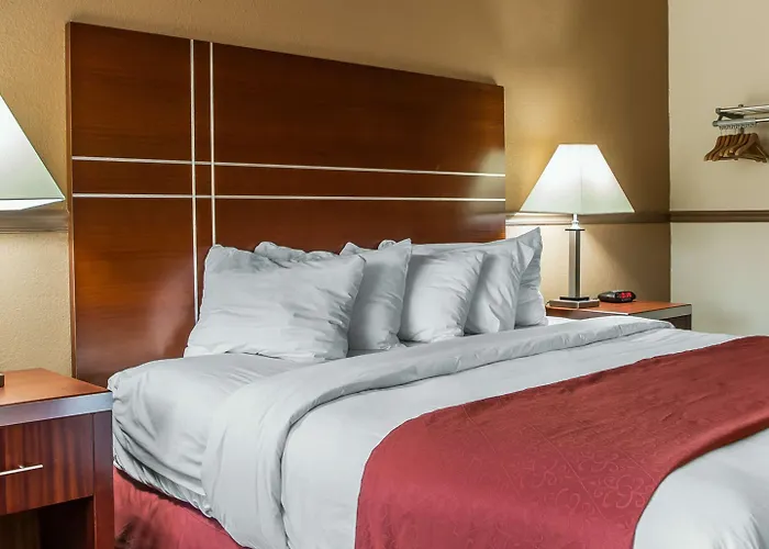 Quality Motel 3*